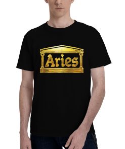 Aries metallic foil effect T-shirt