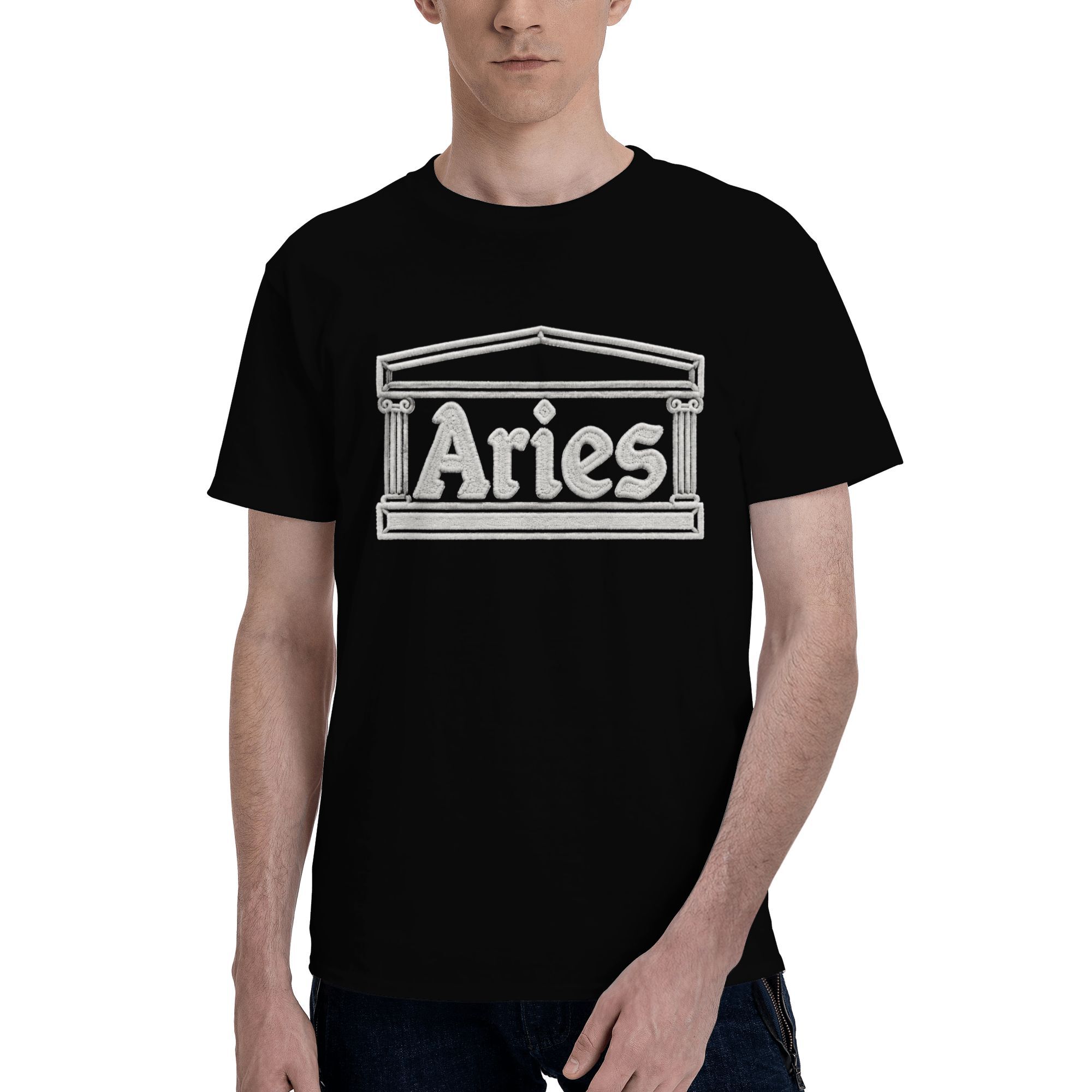 Aries chenille embroidery effect T-shirt